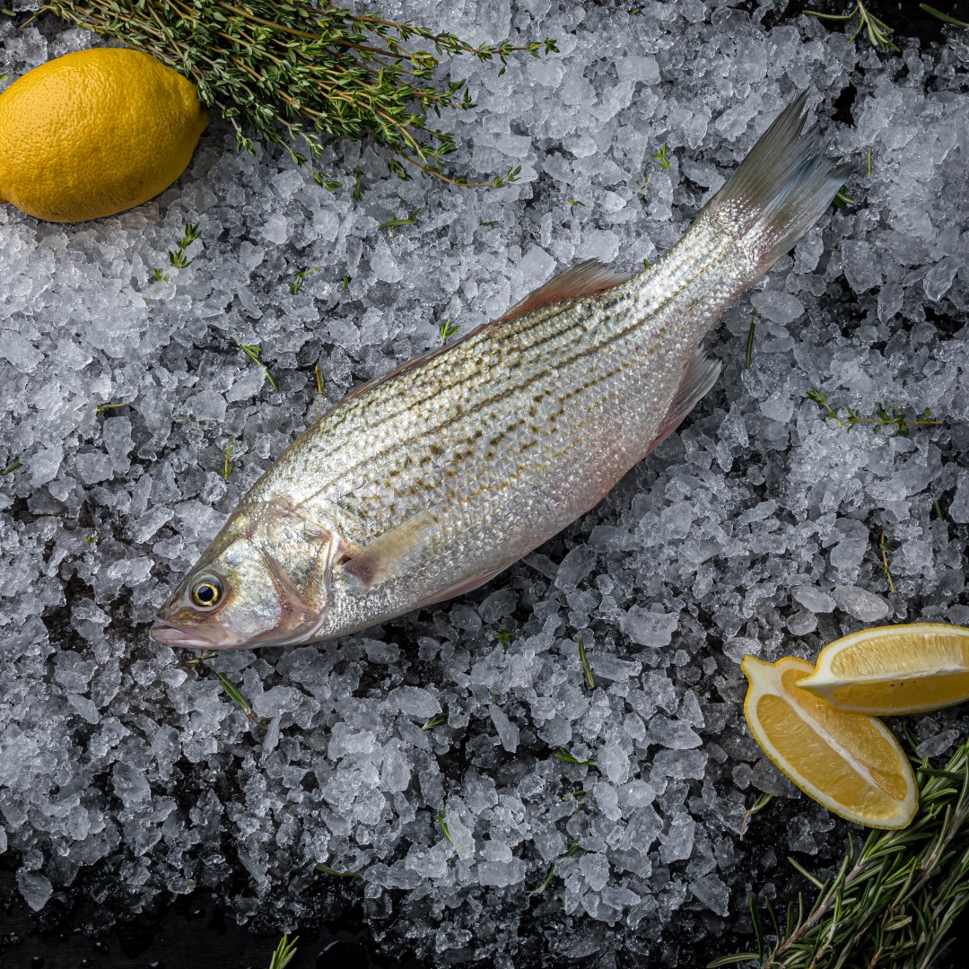 בס